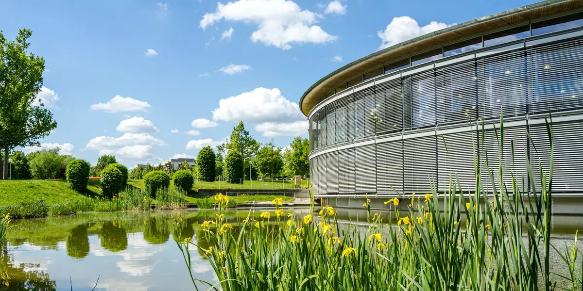 Blumen am See mit Blick auf die Bibliothek der OTH Regensburg